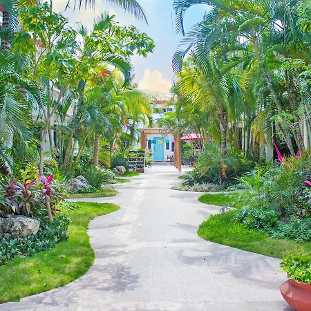 Hotel Villas Colibrí Suites&Bungalows-2